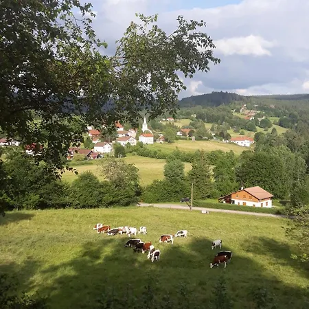 Des Bruyeres * Liézey