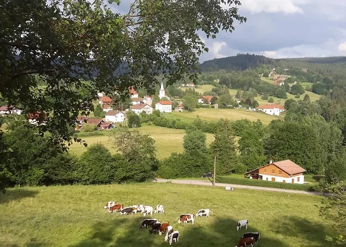 Des Bruyeres * Liézey